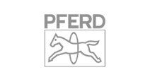 Pferd